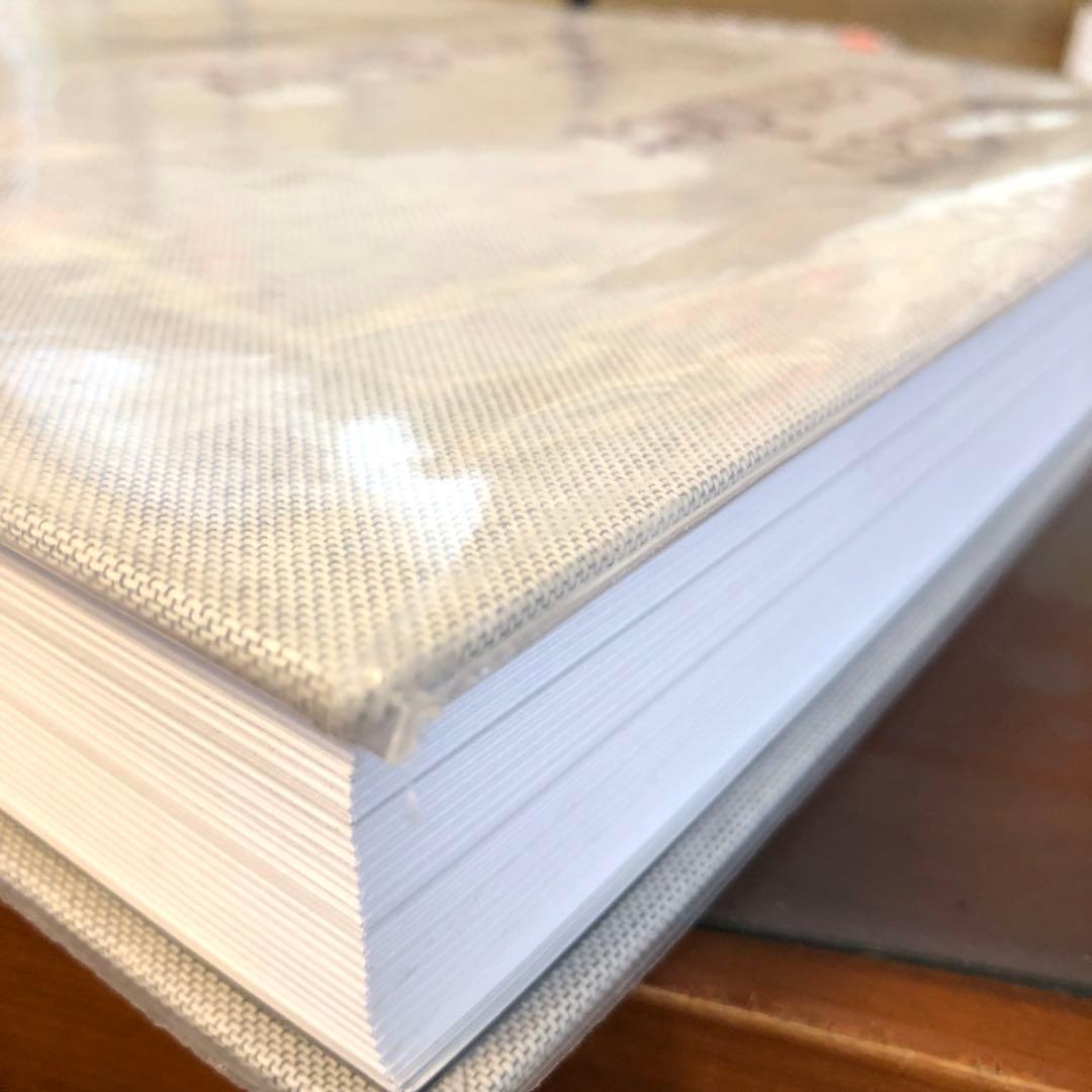 Nadav Kander The Meeting (洋書)