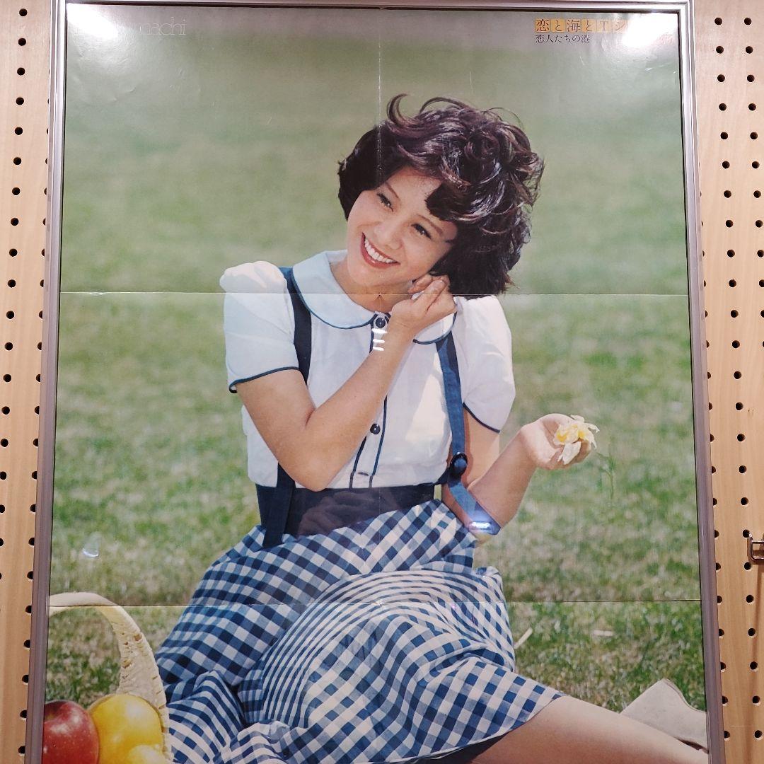 天地真理 水色の恋～ヒット全曲集/10枚組12インチレコード