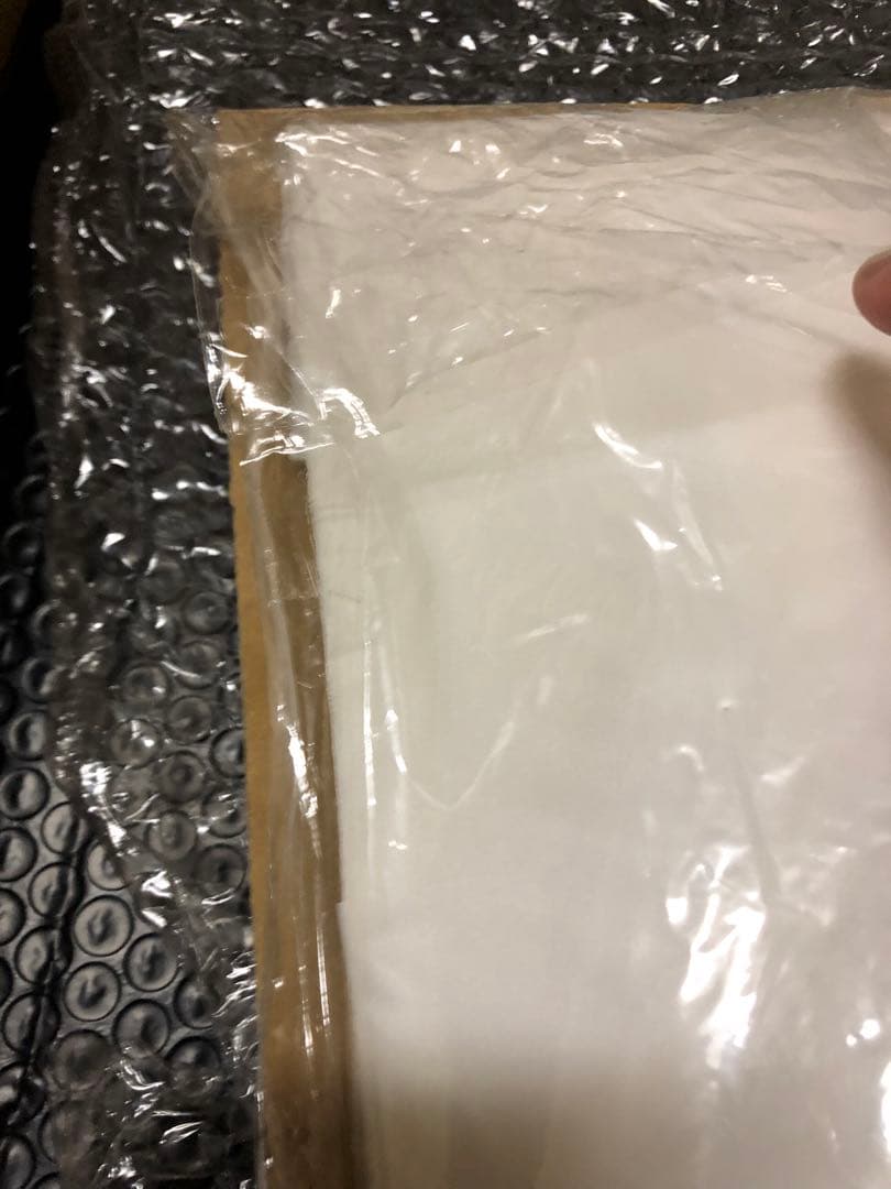 激レアserial experiments lain PS1 応募ハガキ当選品