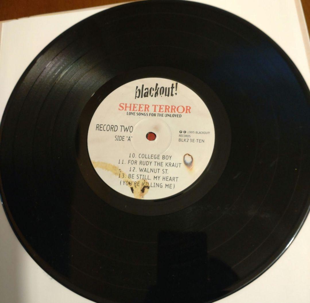 SHEER TERROR 2枚組10\" リミテッドエディション NYHC