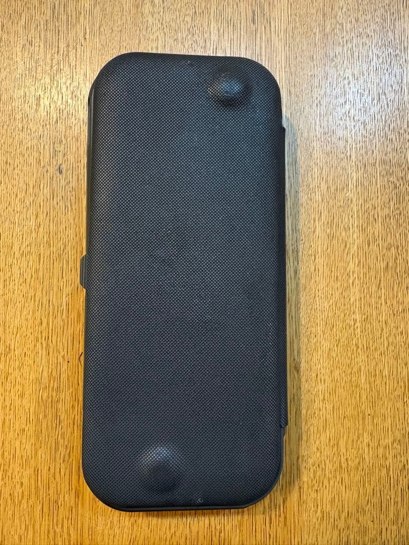 Switchライト本体（グレー）のみ