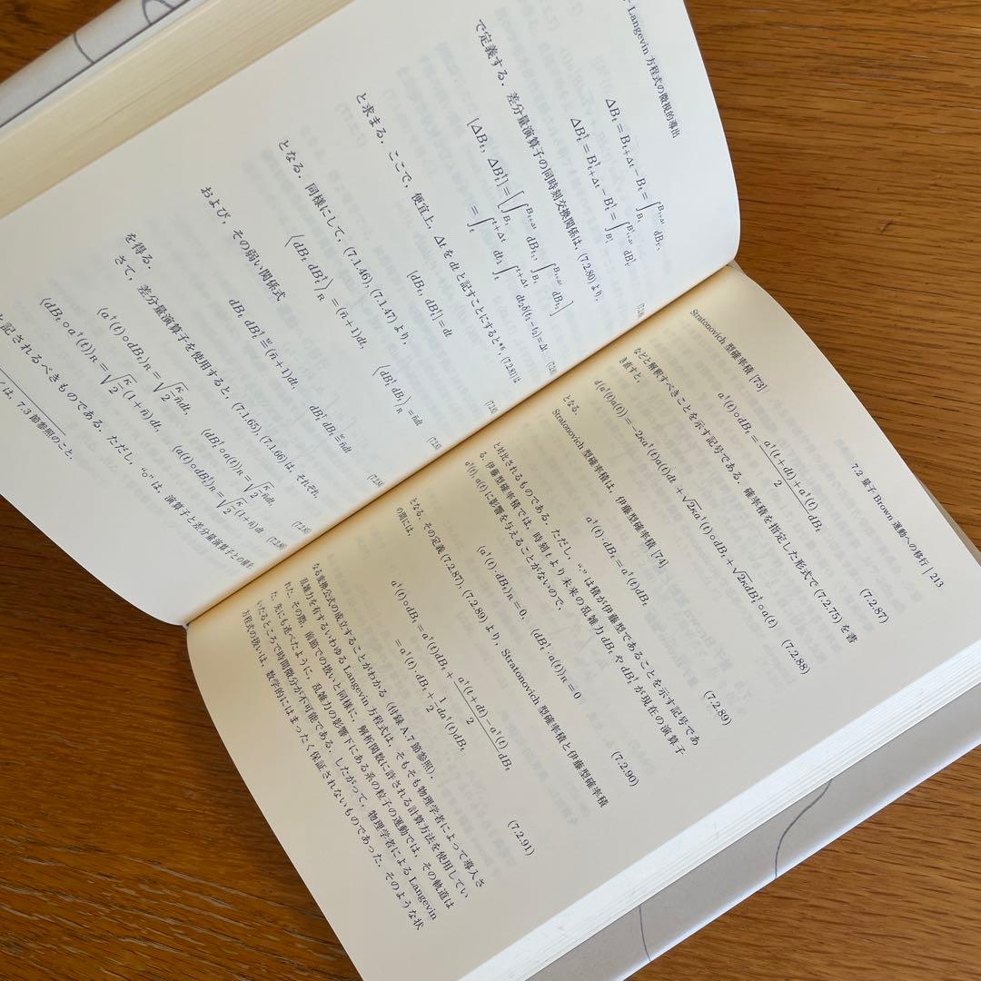 量子と非平衡系の物理 量子力学の基礎と量子情報・量子確率過程