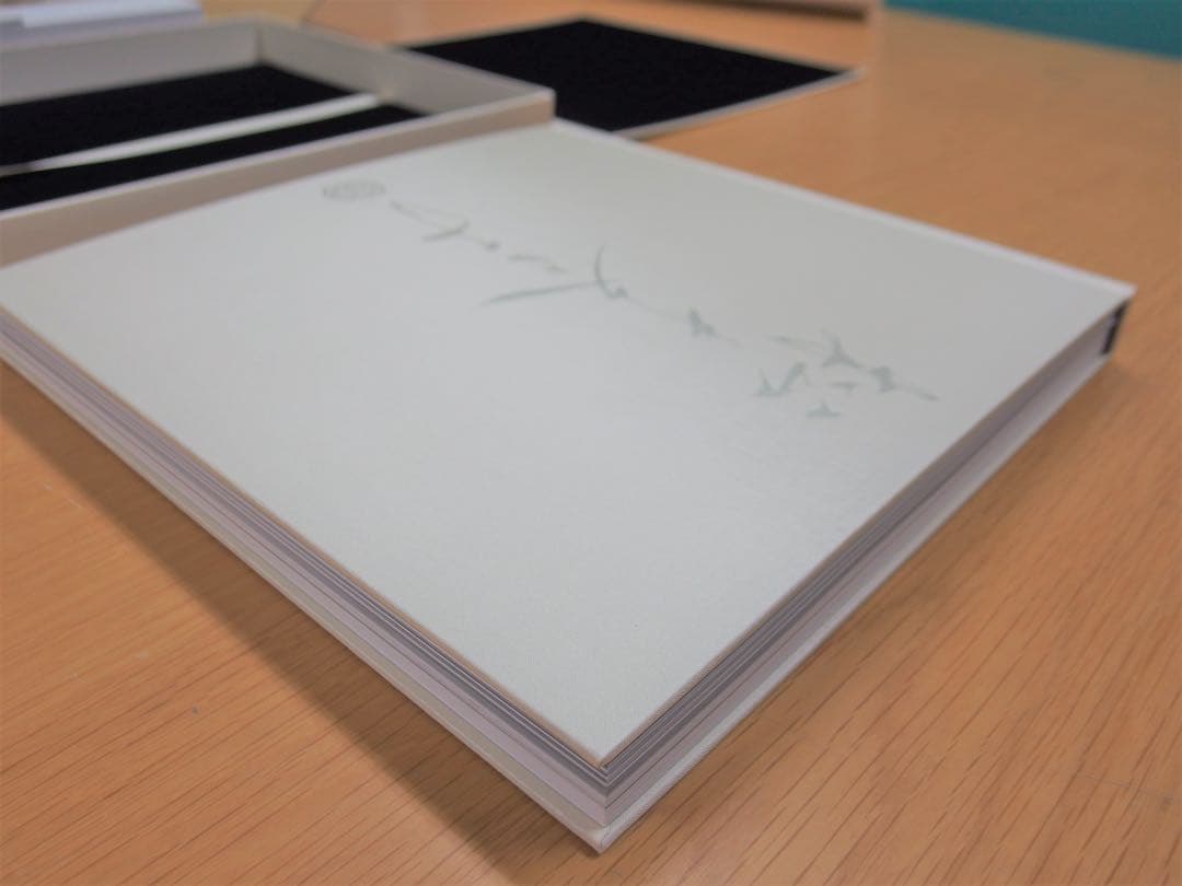 特装版　松井冬子画集　MATSUI FUYUKO（サイン入り・絶版本）