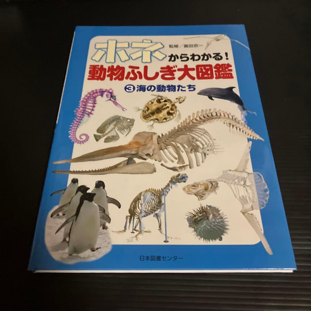 富田京一 ホネからわかる!動物ふしぎ大図鑑(全3巻)