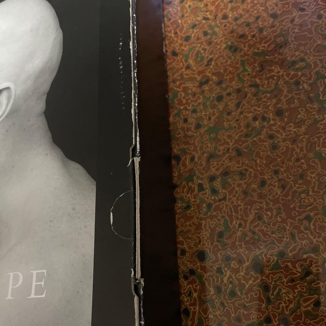 アート・デザイン・音楽 MAPPLETHORPE mapplethorpe