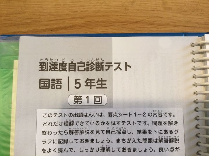 小５国語　塾なし　クロスカリキュラム　教材　右脳教育