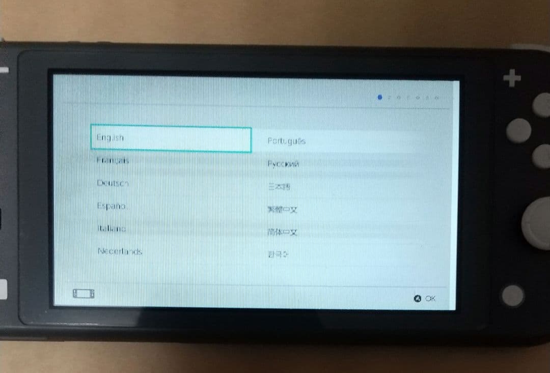 ジャンク 縦線 横線 有り Nintendo Switch Lite 本体