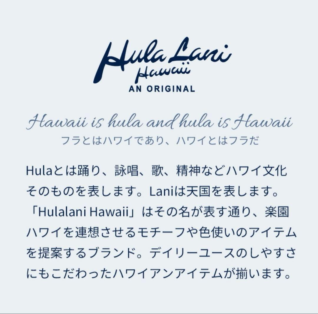 ⭐︎希少⭐︎ Hula Lani Hawaii 中綿 トートバッグ 大容量 巾着