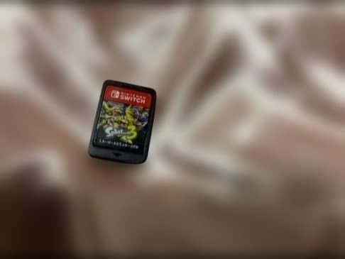 【美品】任天堂Switch ライト➕スプラトゥーン3(バラ売り可)