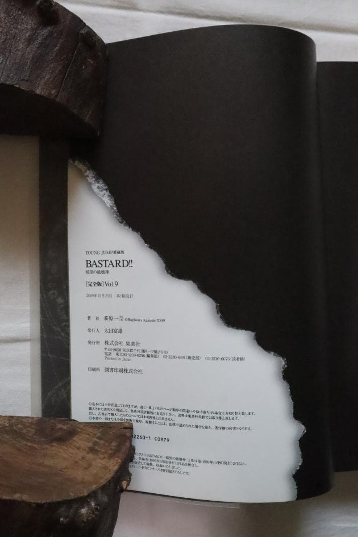 BASTARD!! 暗黒の破壊神 完全版 9巻のみ 萩原一至　／バスタード