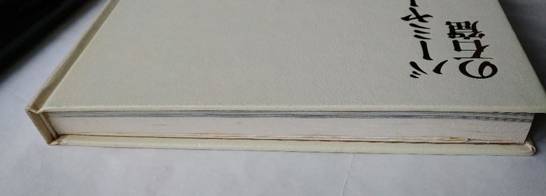 ＊＊【シミあり】バーミヤンの石窟