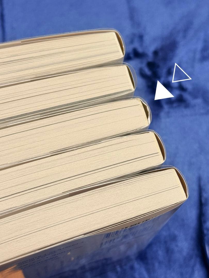 藍渓鎮 羅小黒戦記外伝 1−５巻 日本語版