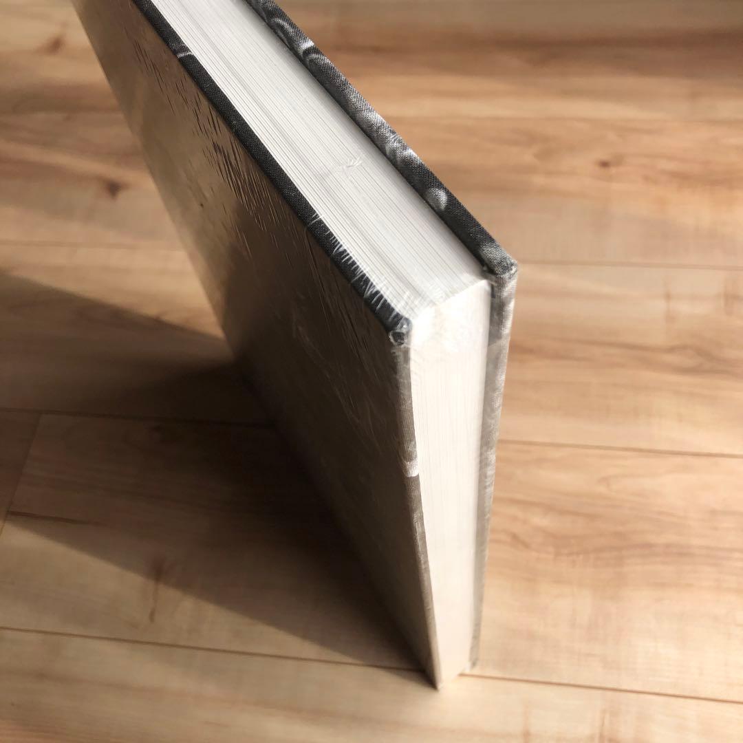 絶版 PJ Harvey 「The Hollow of the Hand」大型本