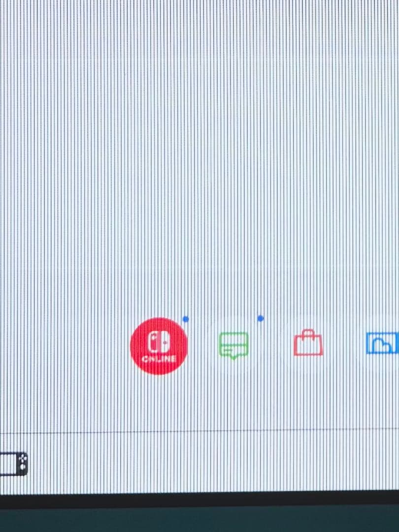 Switch Lite 本体 ジャンク品