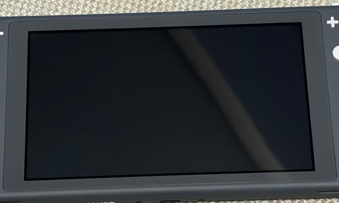 Nintendo Switch Lite グレー 本体　カバー　充電器付き