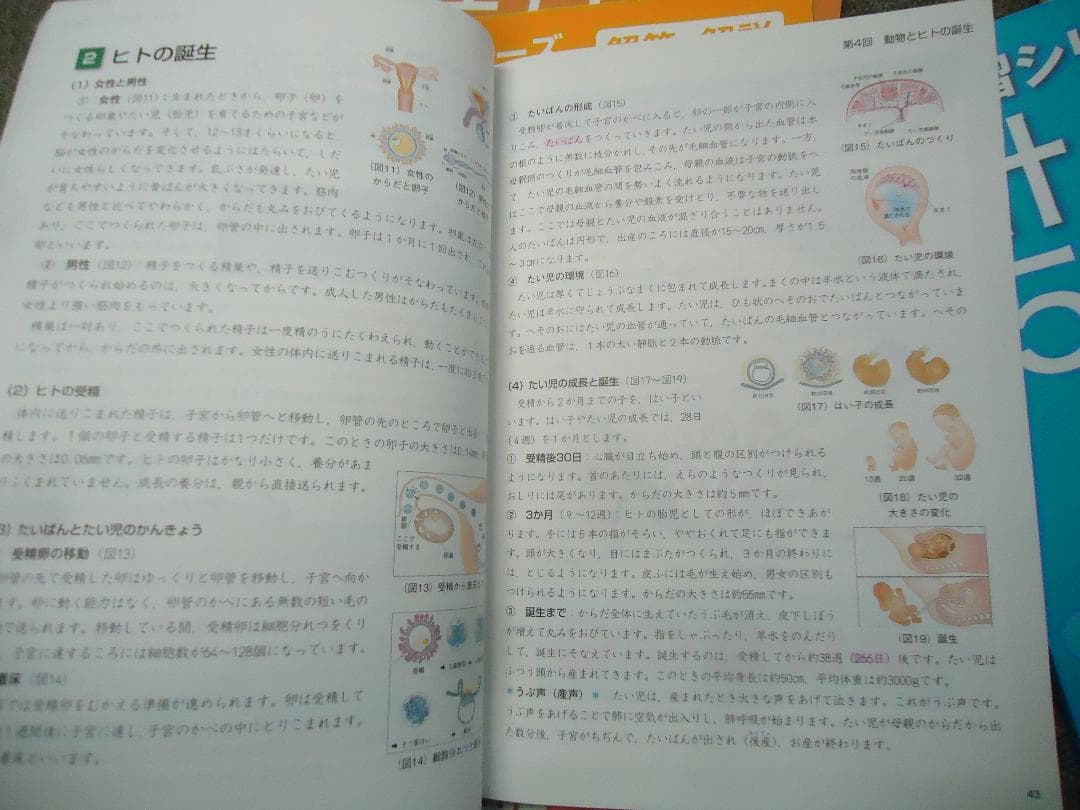 四谷大塚 　 5年予習　 国算理社/演習問題集/漢字/計算 　2019年度使用