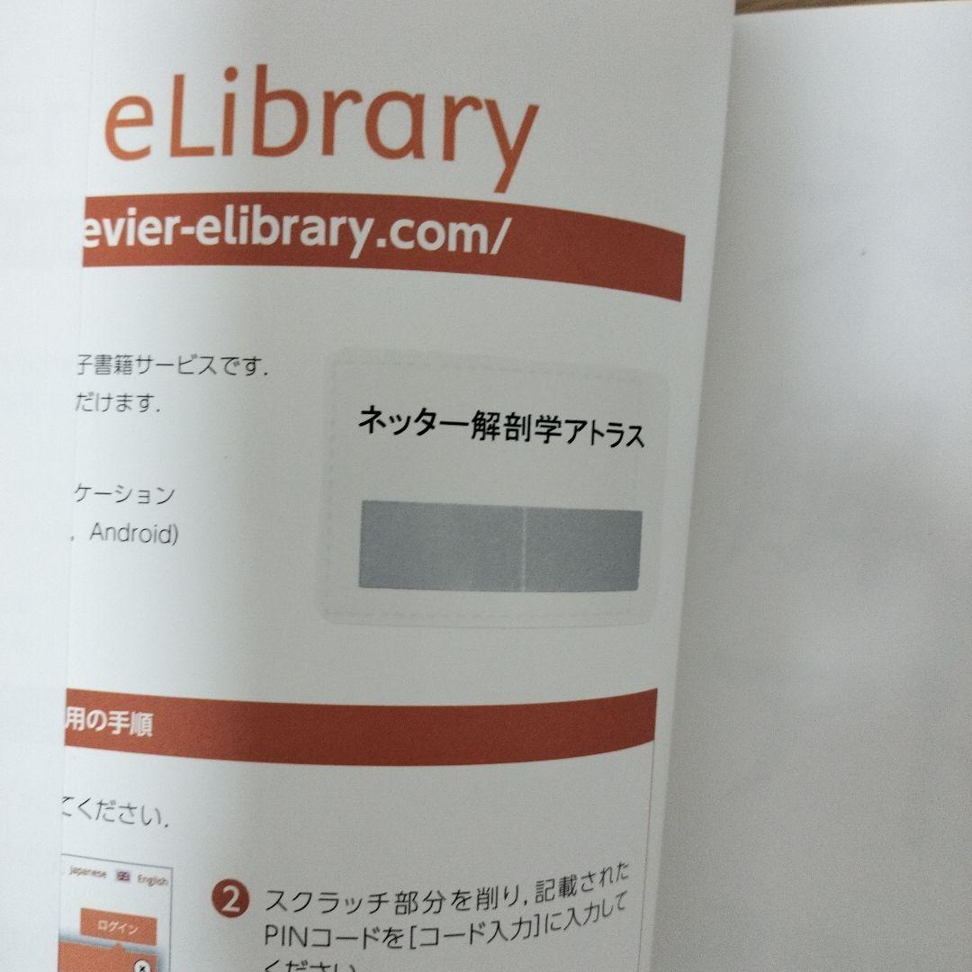 ネッター解剖学アトラス(原書第7版)