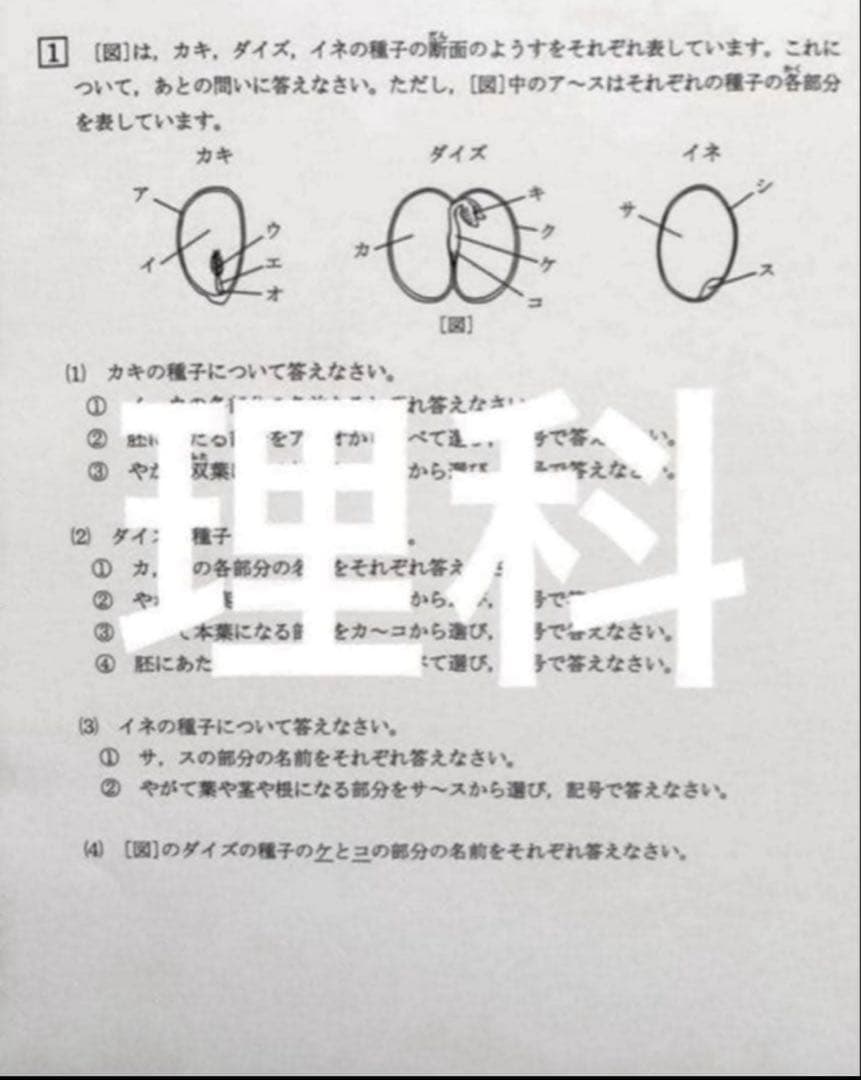 浜学園　小5 2024年度　3科目　Vクラス　復習テスト 国語、算数、理科