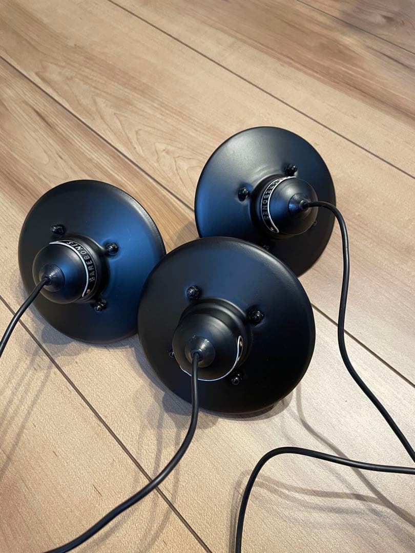 BAREBONES ブ エジソンストリングスライトLED ブラック