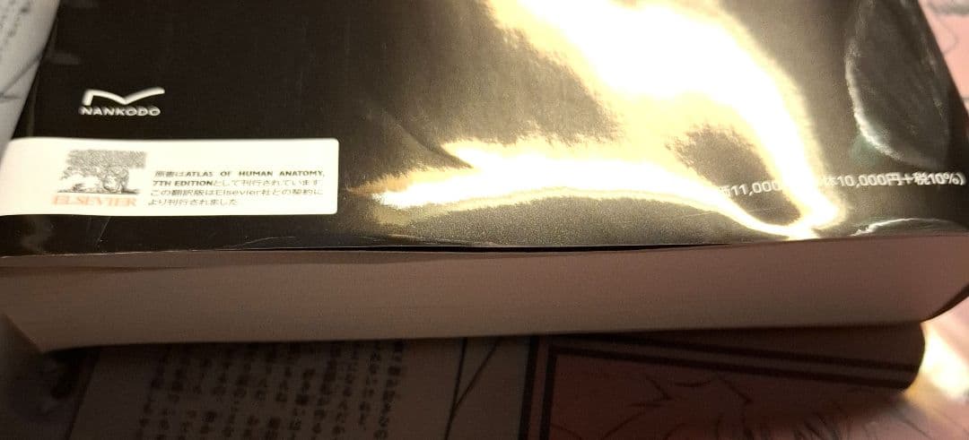 ネッター解剖学アトラス 原書第7版