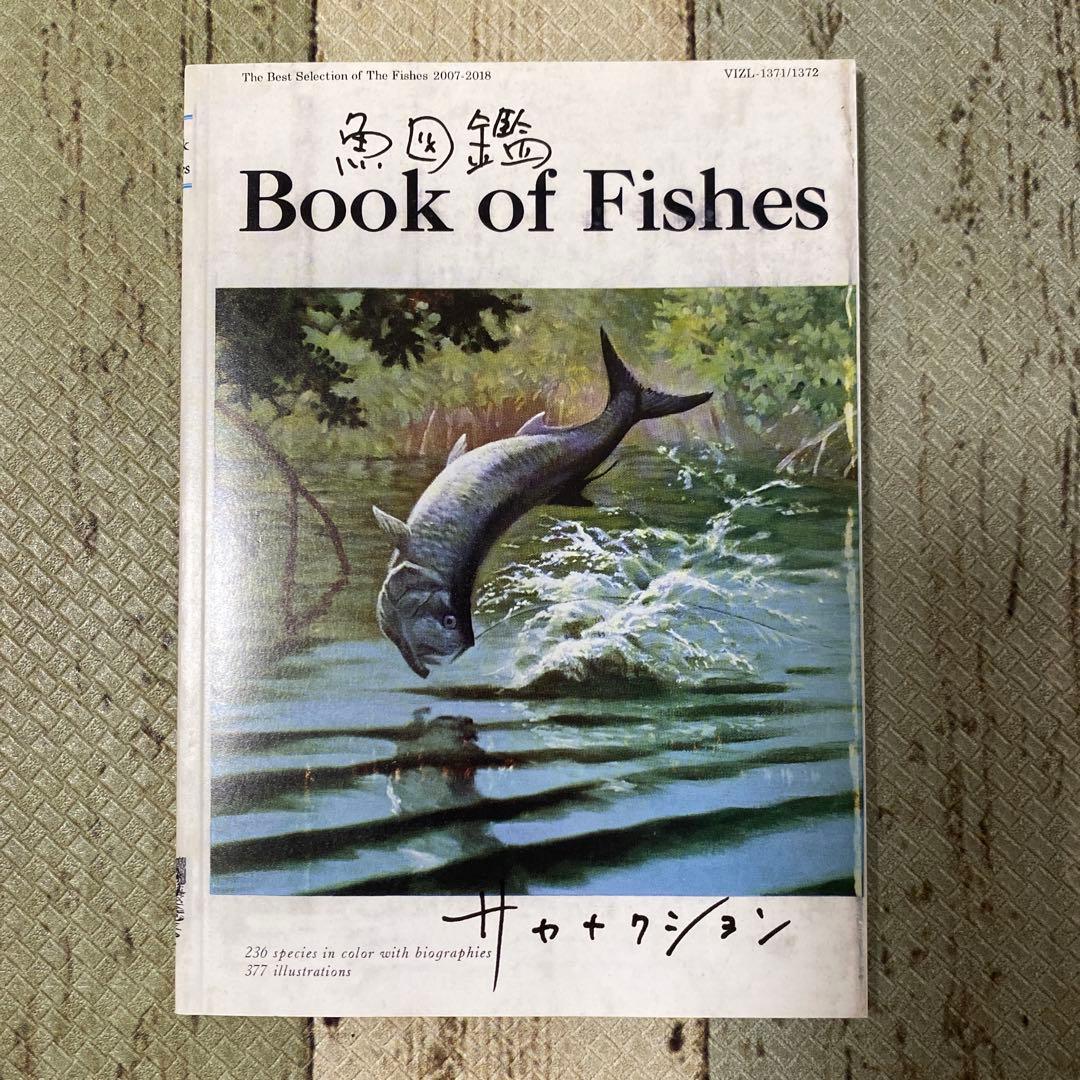 サカナクション　魚図鑑