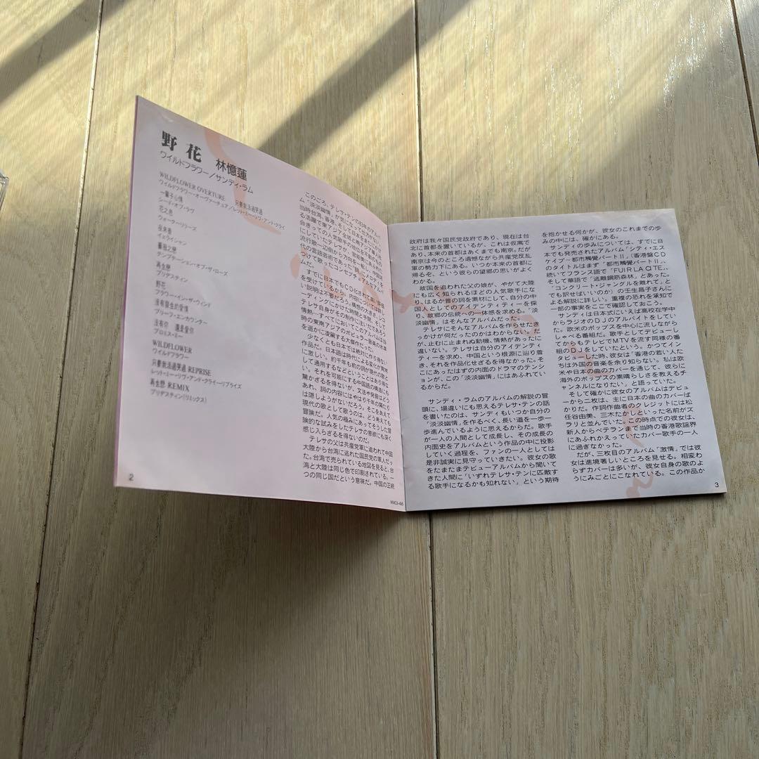 林憶蓮 野花 サンディラム Sandy Lam 日本盤