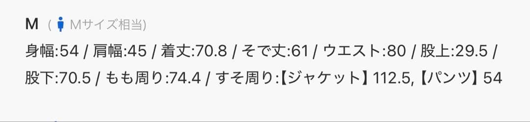 【新品・未使用】WYM/ウィム2025年12月最新スーツ/黒/Mサイズ/即完売
