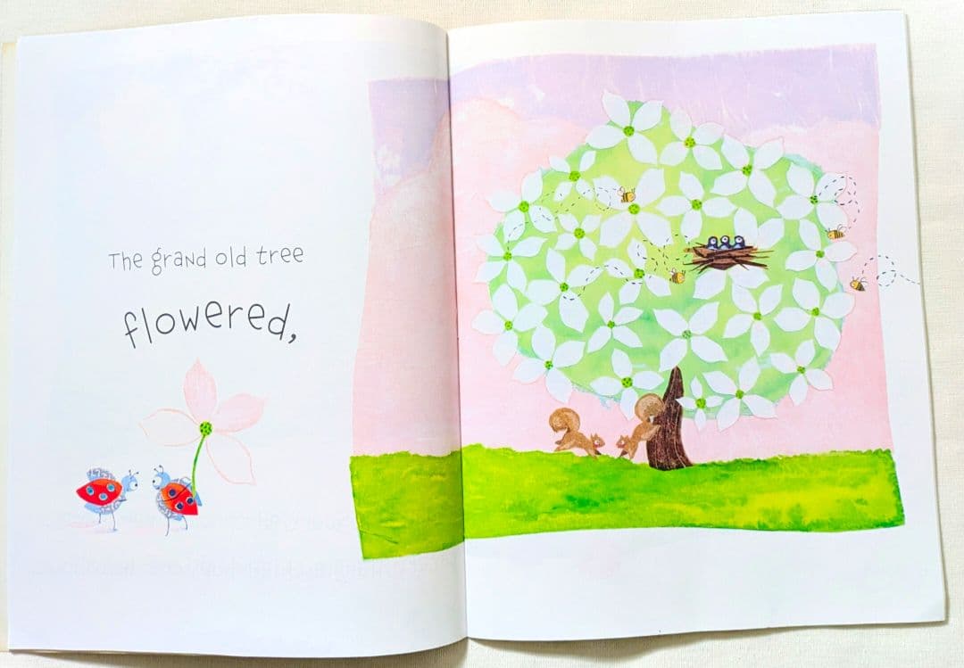 確認用◆洋書☆オススメ 英語絵本『A Grand Old Tree』◆