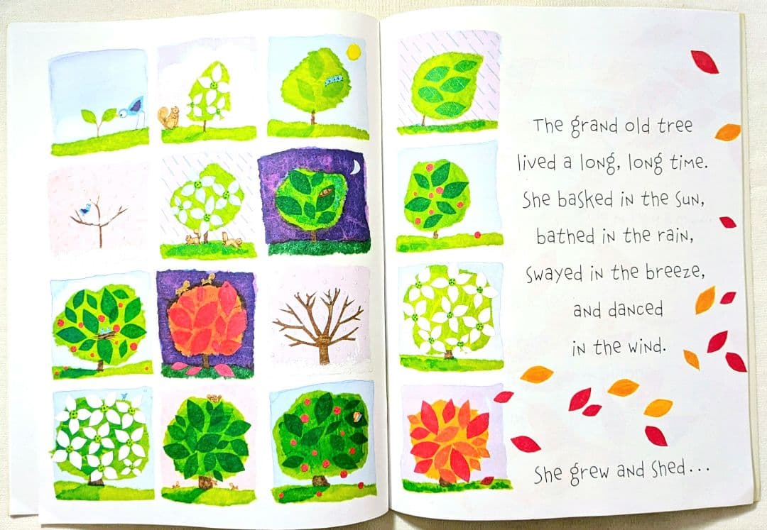 確認用◆洋書☆オススメ 英語絵本『A Grand Old Tree』◆