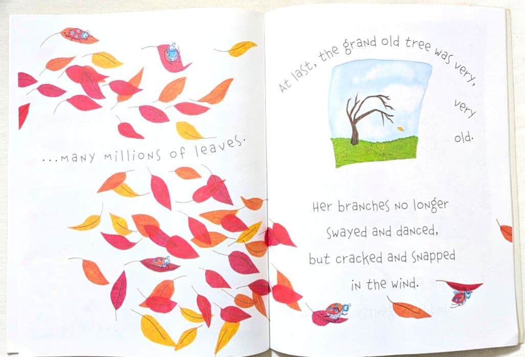 確認用◆洋書☆オススメ 英語絵本『A Grand Old Tree』◆