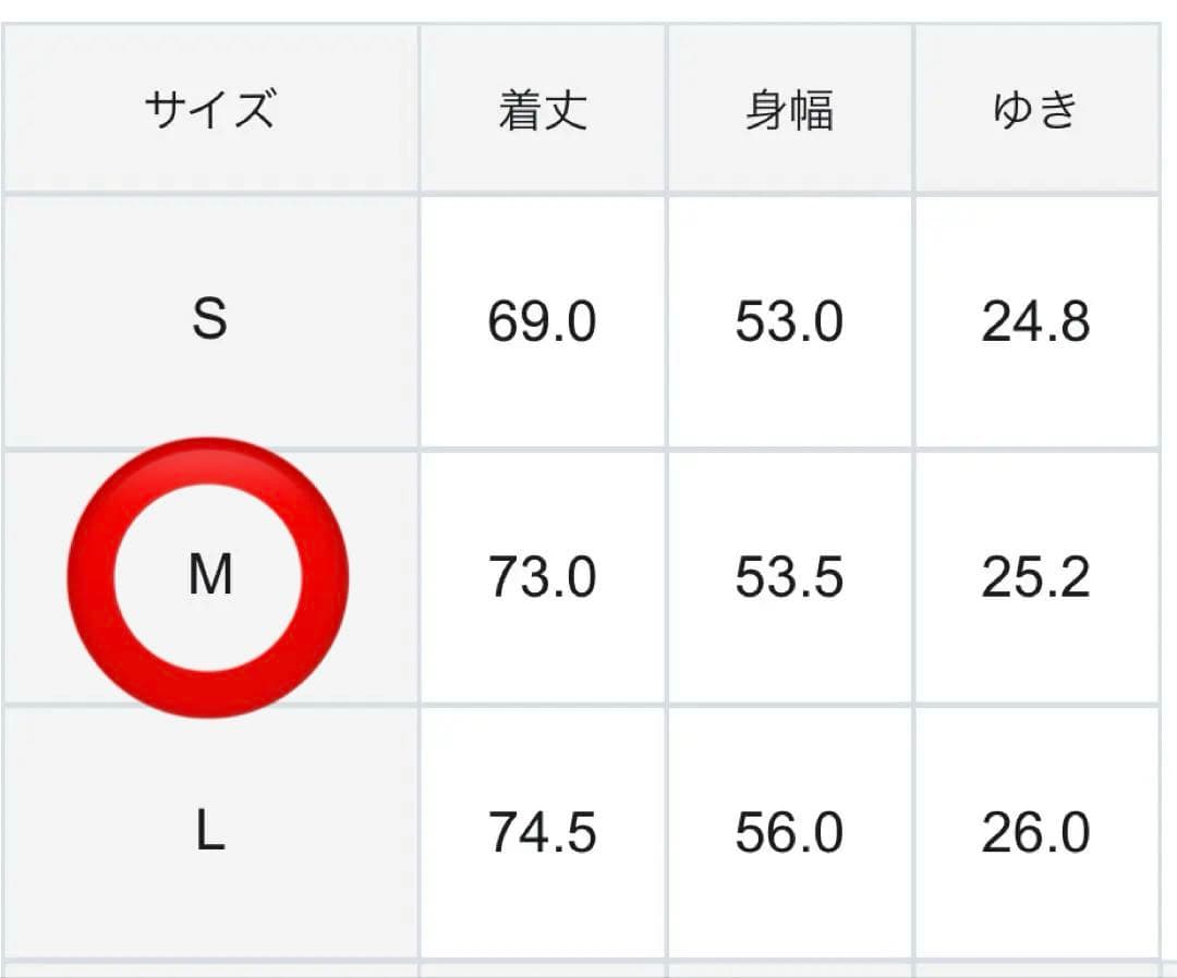 ⭐︎新品⭐︎UNFILO 【軽量/洗える】TENNEN TOUCH テーラードジレ