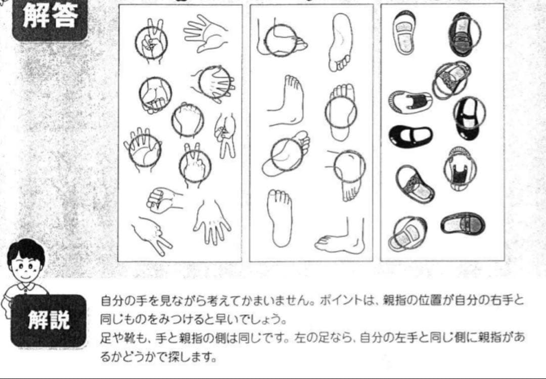 フォレスト幼児教室　合格請負シリーズ　4分野セット