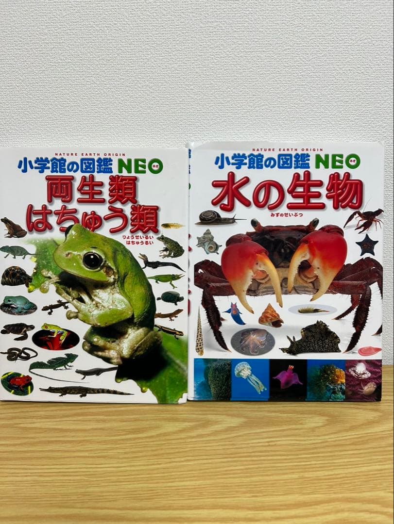 小学館図鑑NEO 10冊セット
