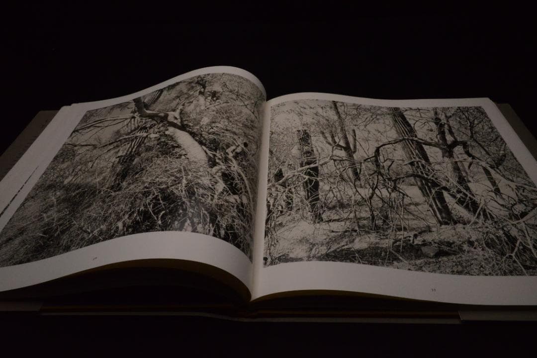 【The Desert Seen】Lee Friedlander　未読、美品