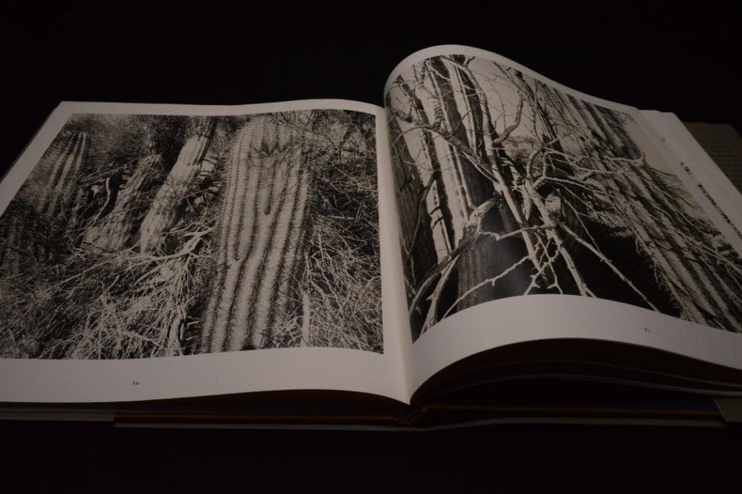 【The Desert Seen】Lee Friedlander　未読、美品