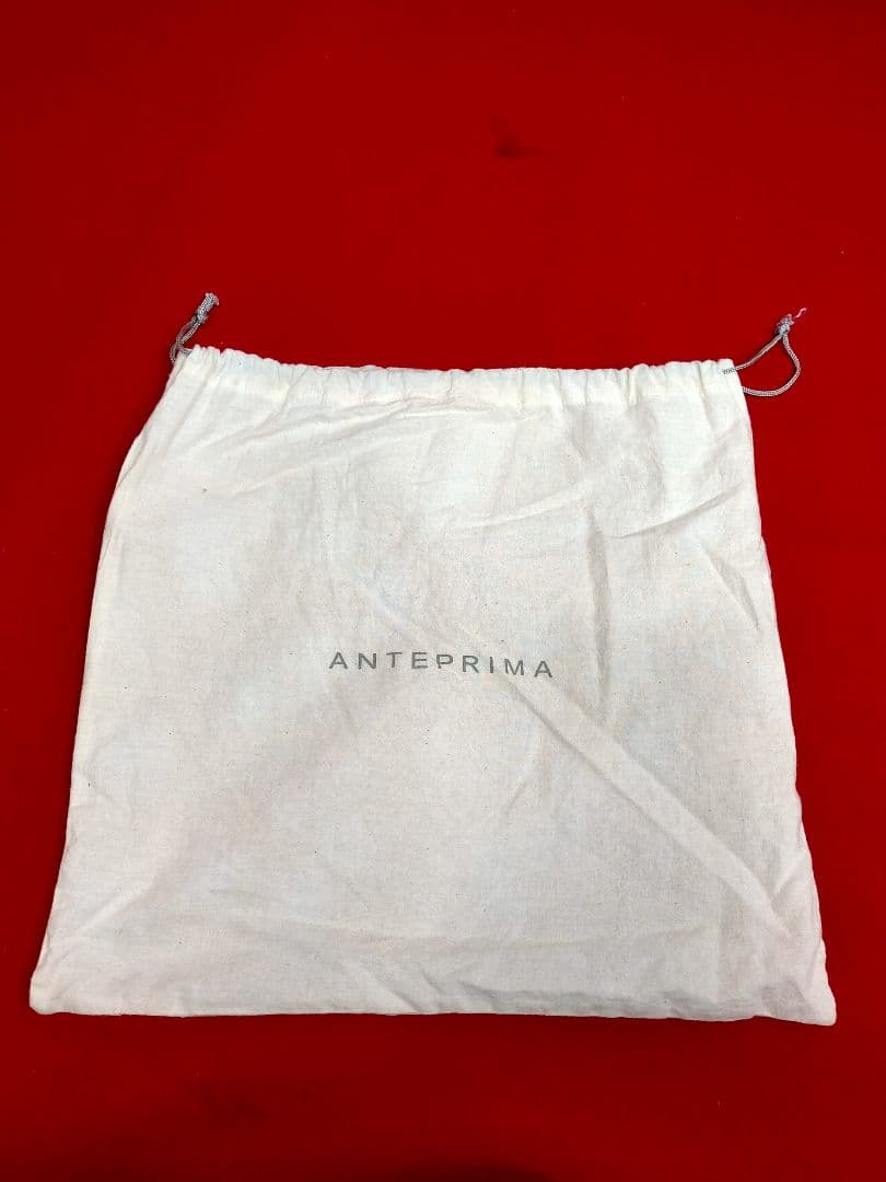 ANTEPRIMAアンテンプリマ　ワイヤーバック