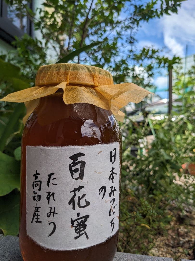 日本ミツバチ 蜂蜜 令和7年度 採れたて　たれ蜜　2年もの1200g 非加熱