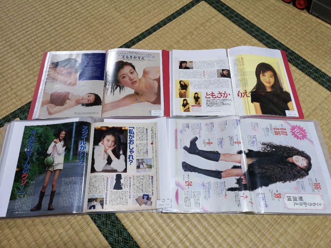 ともさかりえ(1冊200円計算)81冊分209ページ切り抜きしファイリング済み