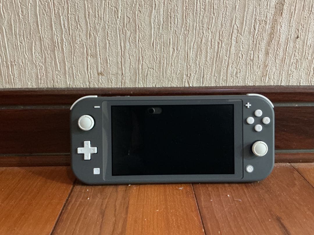 ゆ*ん様 Nintendo Switch Lite グレー 本体