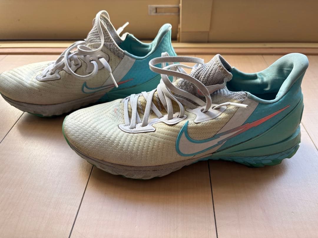 海外限定モデル　エアズームインフィニティツアーネクスト