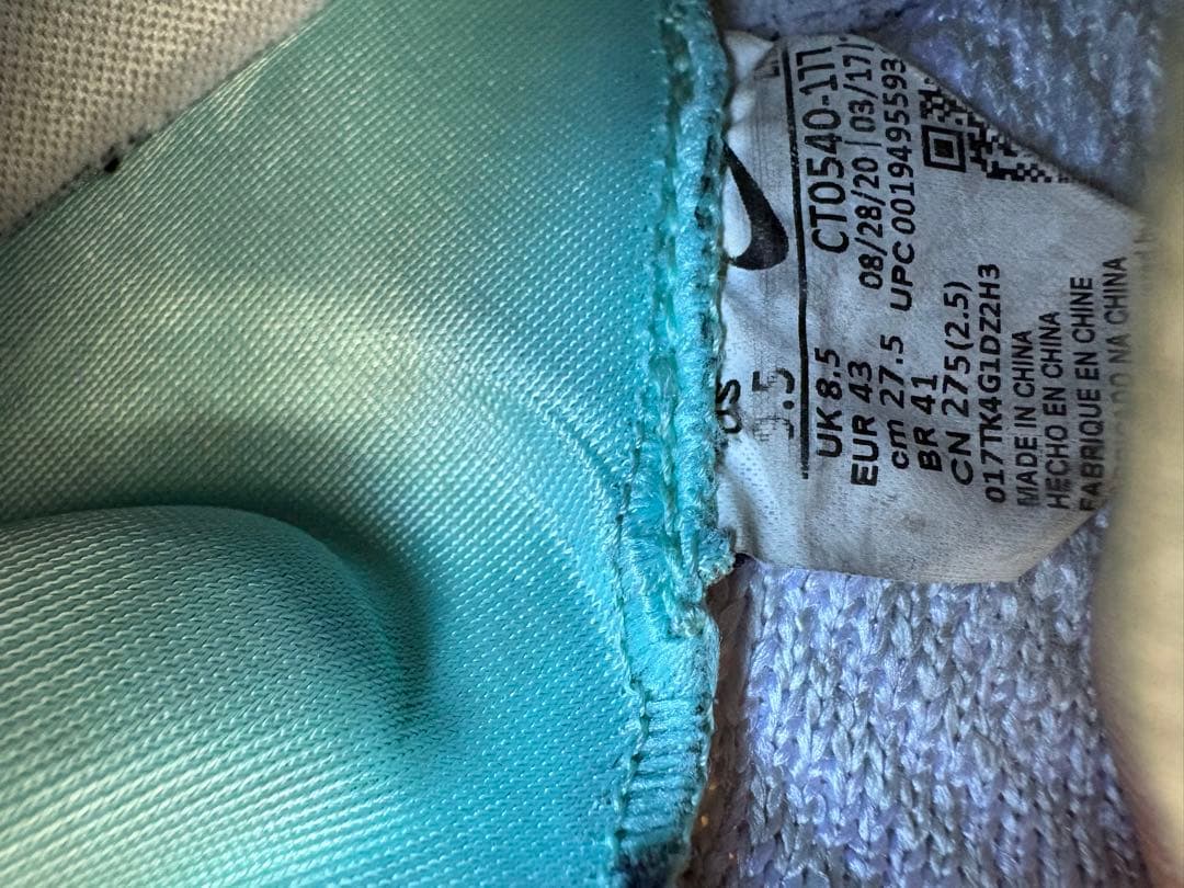 海外限定モデル　エアズームインフィニティツアーネクスト