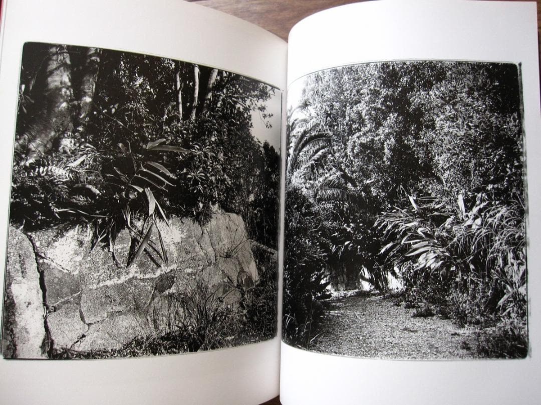 伊藤トオル　KUMANO　帯付き　熊野