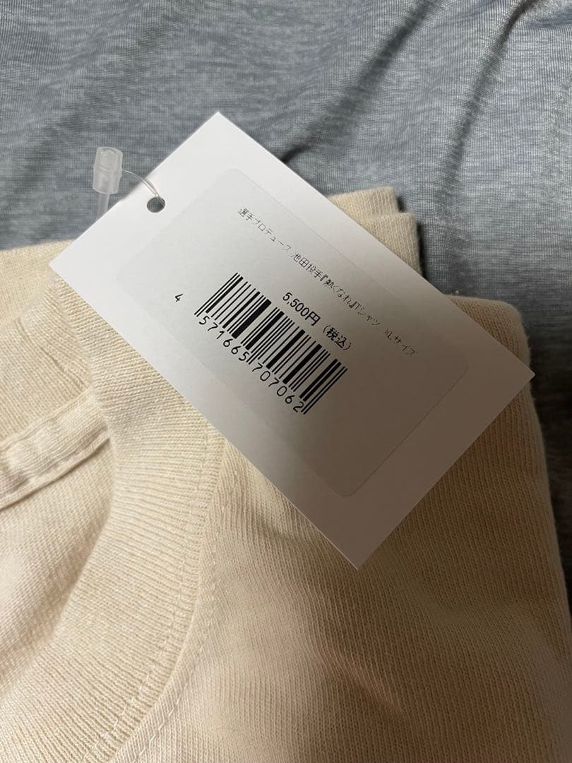 池田隆英　北海道日本ハムファイターズ 応援グッズセット