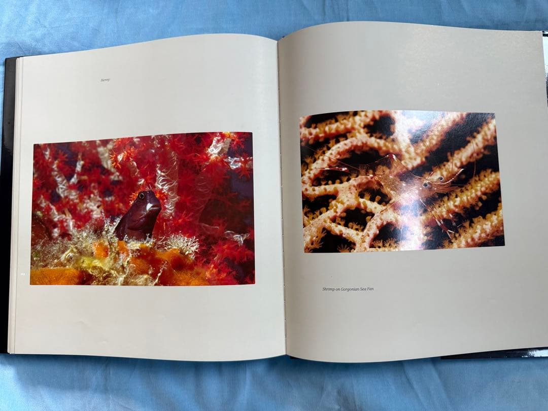 クリストファー　ニューバートのサイン入り写真集