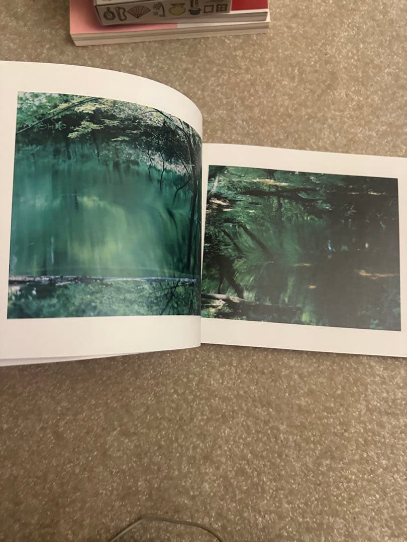 柴田敏雄×鈴木理策　写真と絵画 セザンヌより