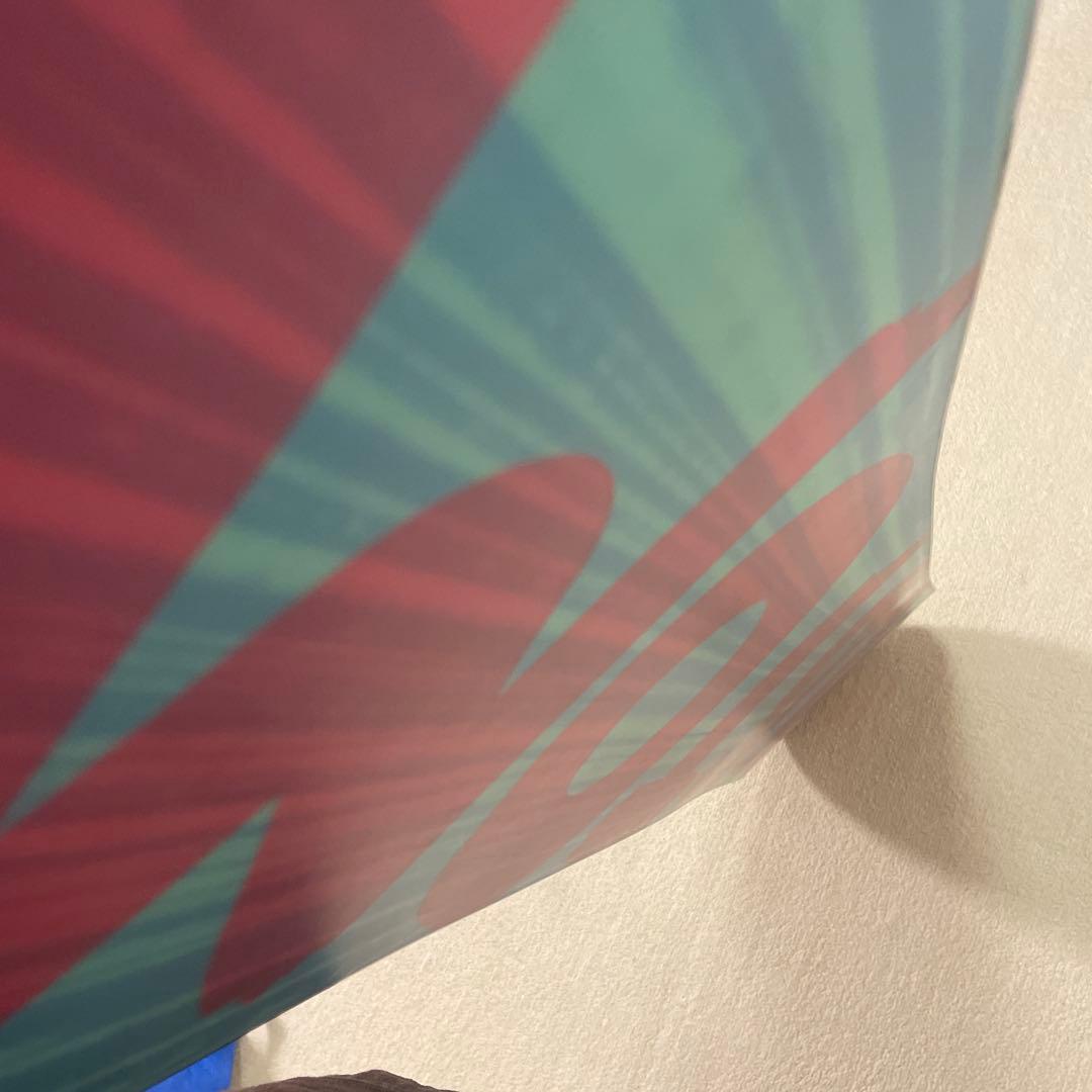 ブライアン BURTON Custom Flying V 154cm