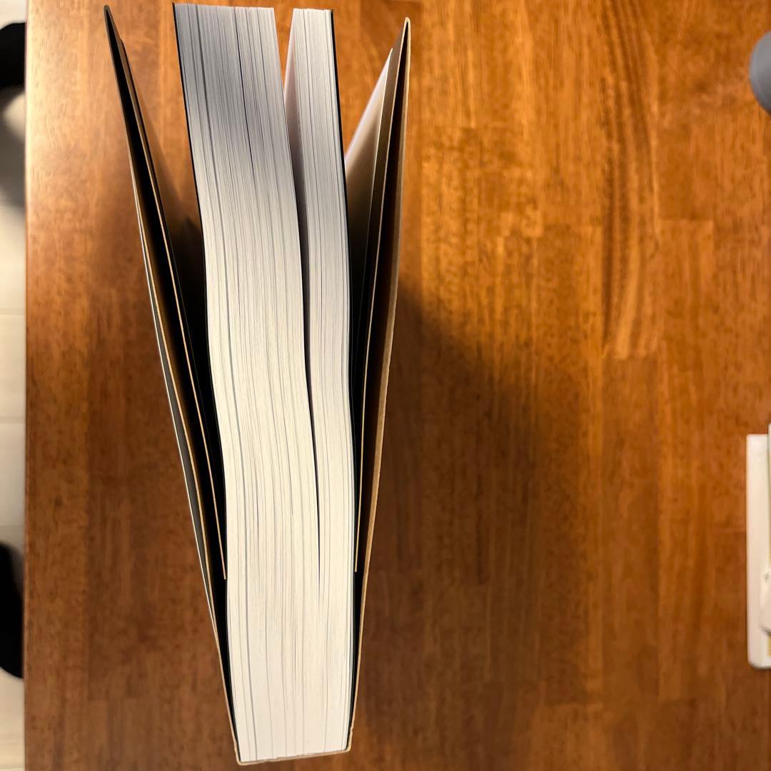 中平卓馬　火/ 氾濫