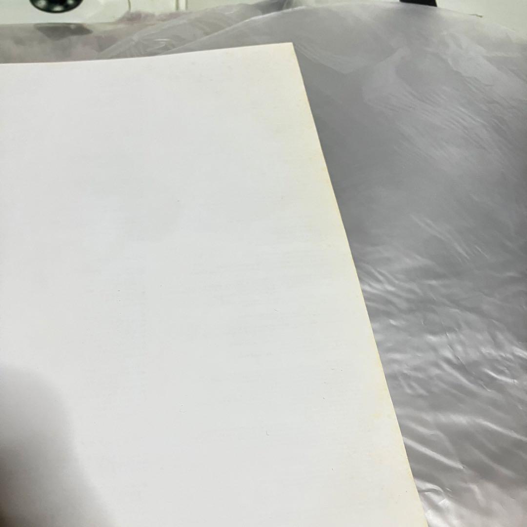 ミッシェル•ガン•エレファント　カサノバ・スネイク　アナログ盤