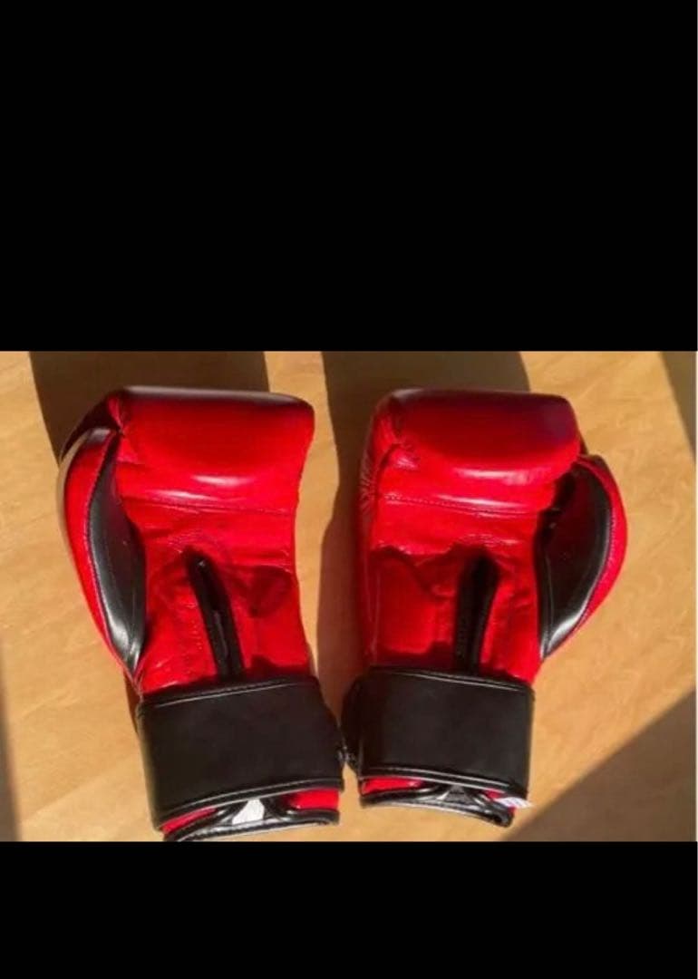 CLETO REYES レイジェス ボクシンググローブ 16