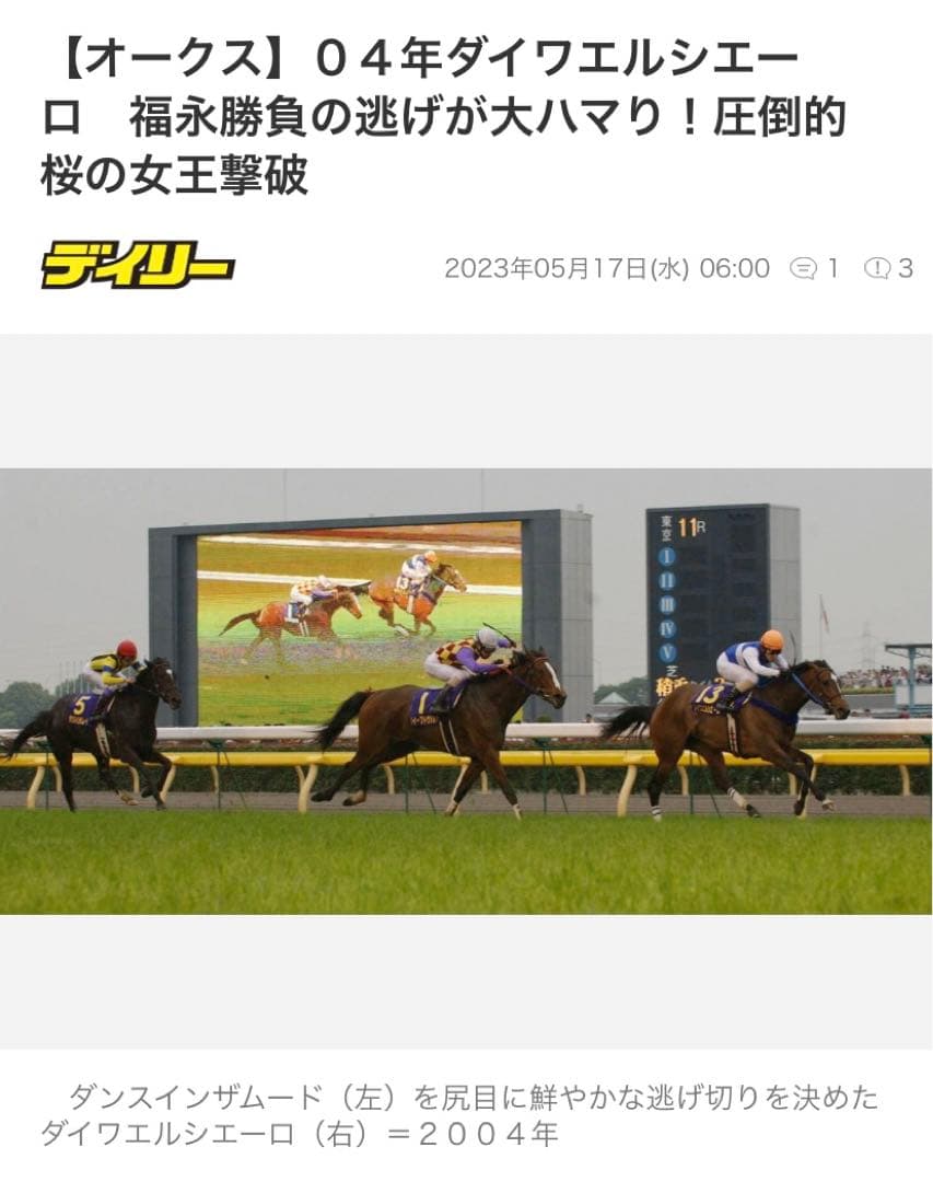 か*N様 【★激レアアイテム★】2004オークス優勝記念　ダイワエルシエーロ　非